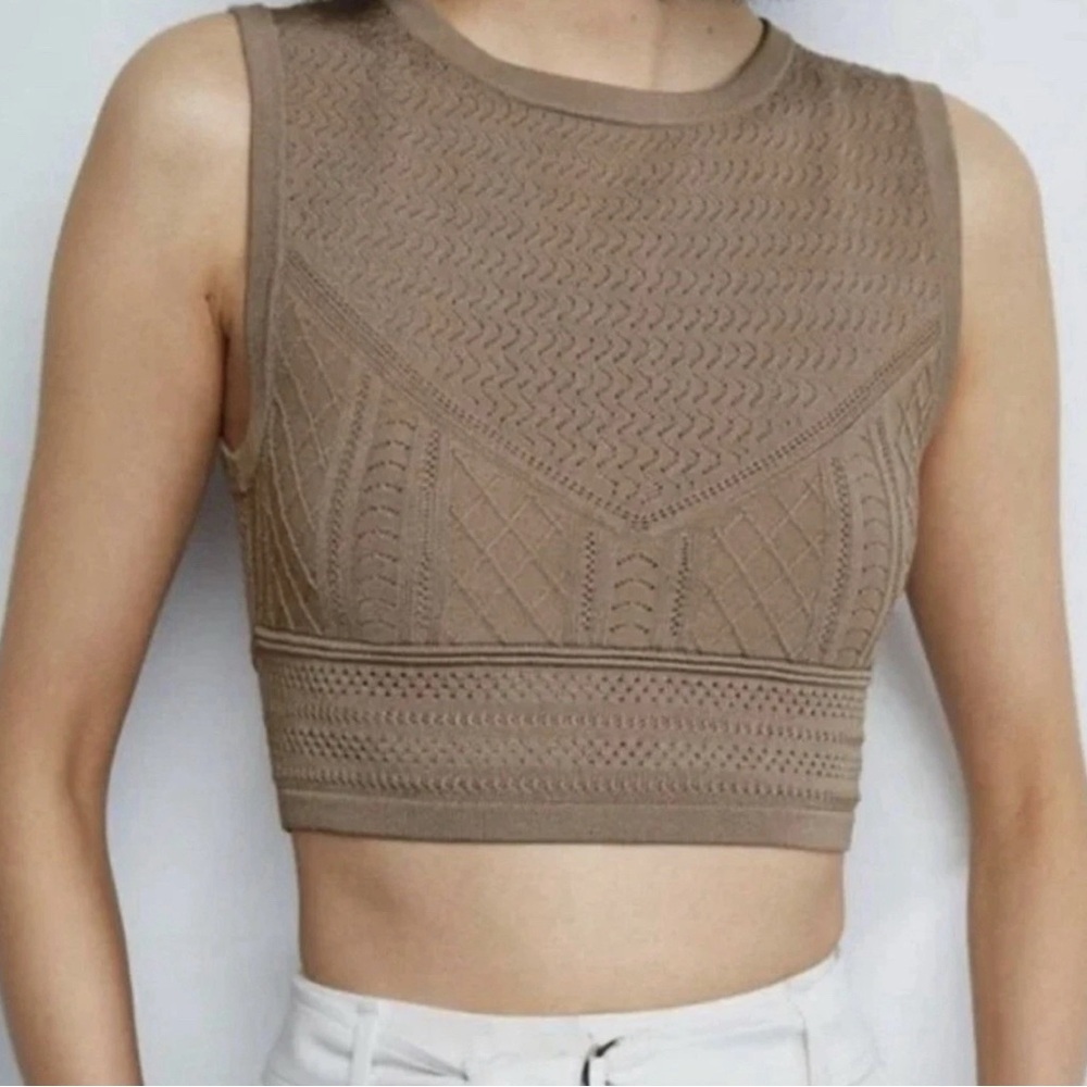 Babaton Pointelle Cropped Tank Aritzia Size Small